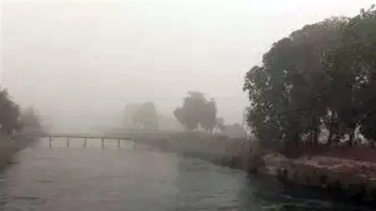 طقس متقلب بين البرودة نهارا والأمطار الخفيفة مع انتشار الشبورة الصباحية